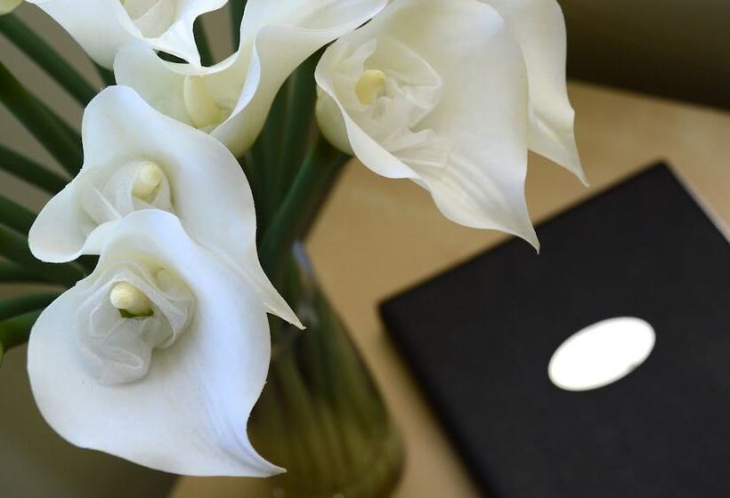 דירת חדר, Birches Serviced Apartments