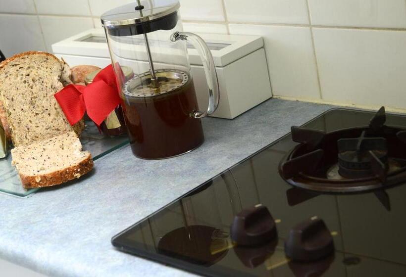 דירת חדר, Birches Serviced Apartments