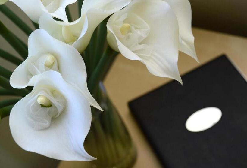 חדר סטנדרט, Birches Serviced Apartments