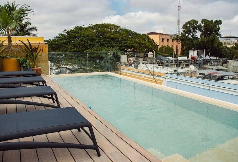ジュニアスイート, Casa Continental Hotel Boutique & Suites