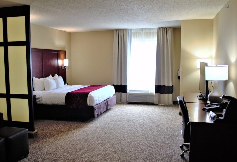 جناح, Comfort Suites Lake Norman  Huntersville