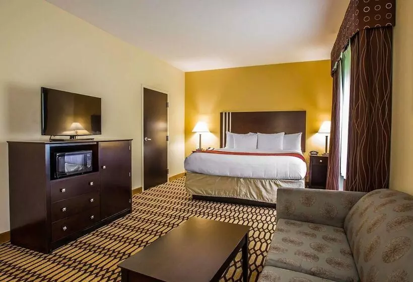 Sviitti Liikuntarajoitteisille, Comfort Suites Simpsonville   Greenville