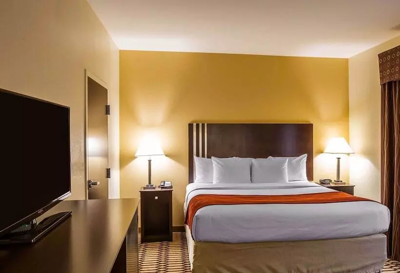 Sviitti Liikuntarajoitteisille, Comfort Suites Simpsonville   Greenville