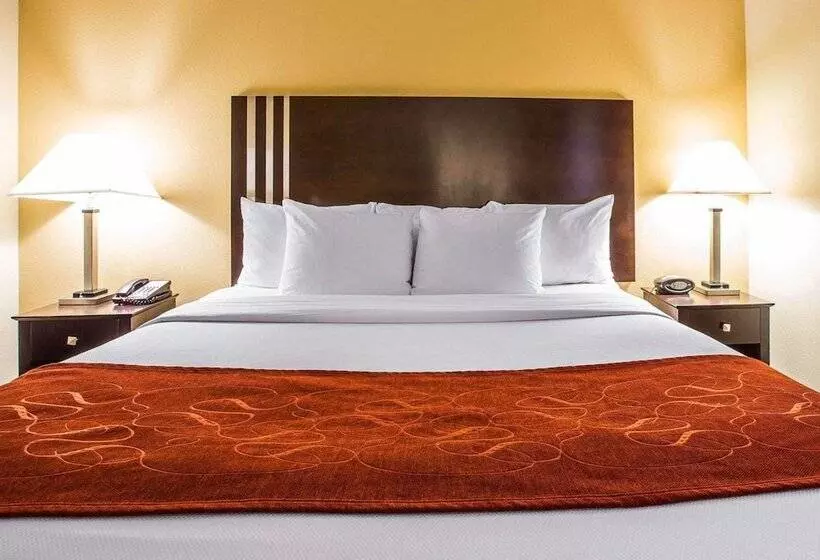 Sviitti Liikuntarajoitteisille, Comfort Suites Simpsonville   Greenville