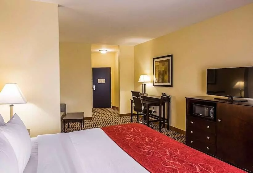Sviitti Liikuntarajoitteisille, Comfort Suites Simpsonville   Greenville