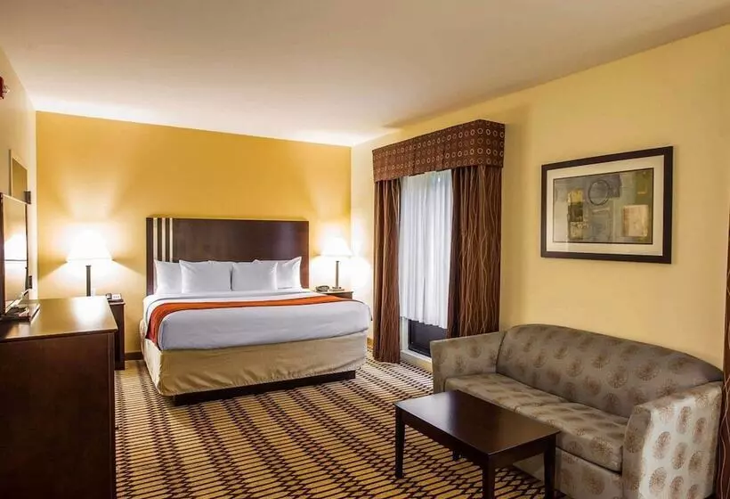 Sviitti Liikuntarajoitteisille, Comfort Suites Simpsonville   Greenville