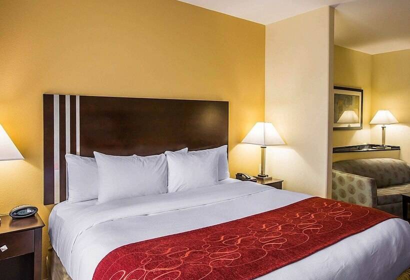 Люкс Адаптированный для Инвалидов, Comfort Suites Simpsonville   Greenville