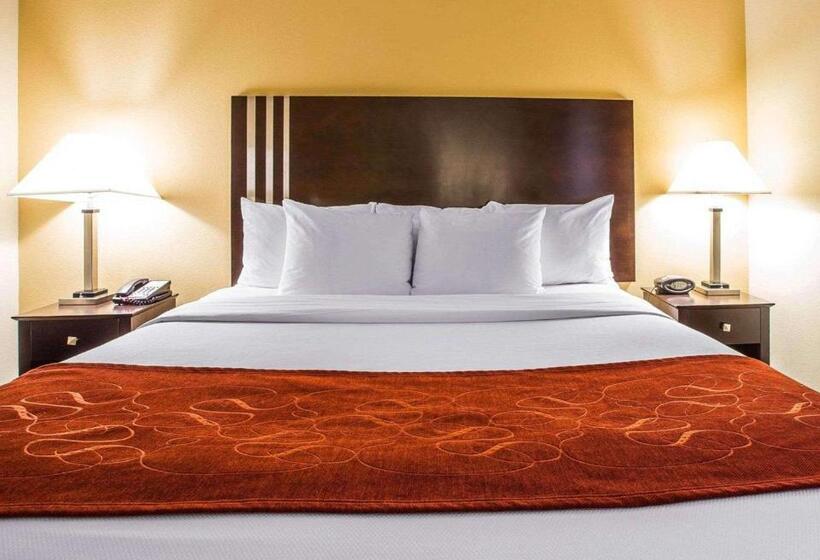 Люкс Адаптированный для Инвалидов, Comfort Suites Simpsonville   Greenville