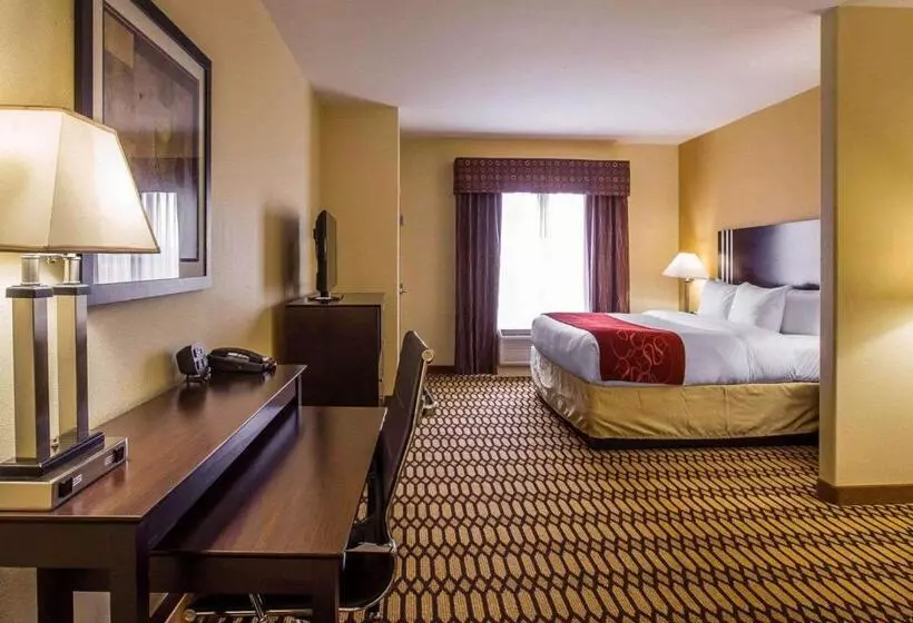 Sviitti King-vuode, Comfort Suites Simpsonville   Greenville