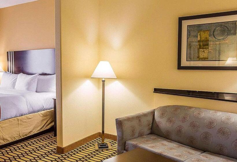 Люкс Кровать Кинг, Comfort Suites Simpsonville   Greenville