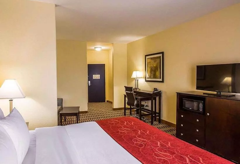 Sviitti King-vuode, Comfort Suites Simpsonville   Greenville