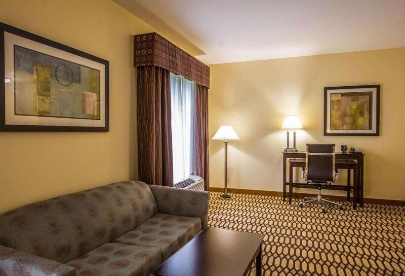 جناح لذوى الاحتياجات الخاصة, Comfort Suites Simpsonville   Greenville