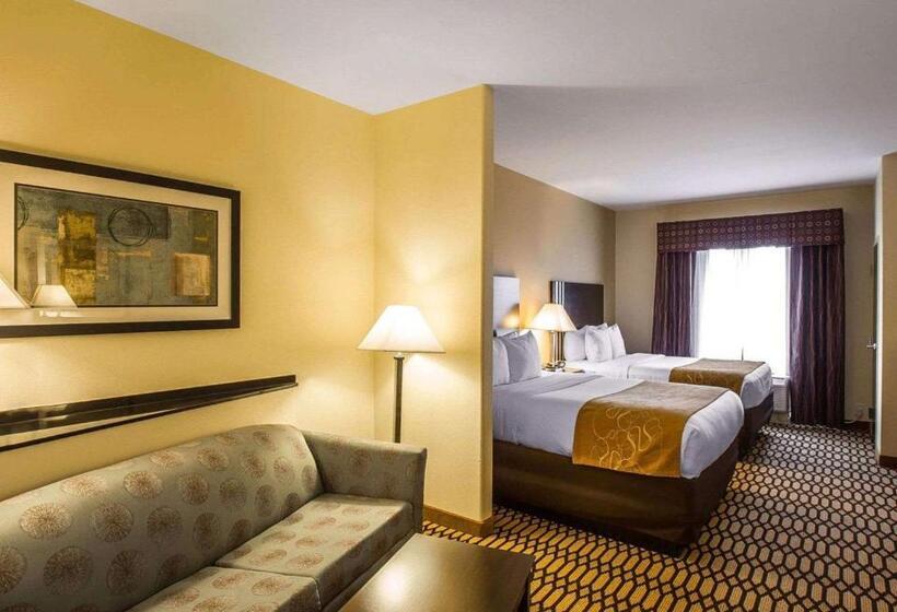 جناح لذوى الاحتياجات الخاصة, Comfort Suites Simpsonville   Greenville