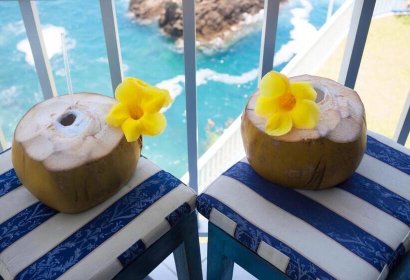 Люкс, Coral Clubes Acapulco