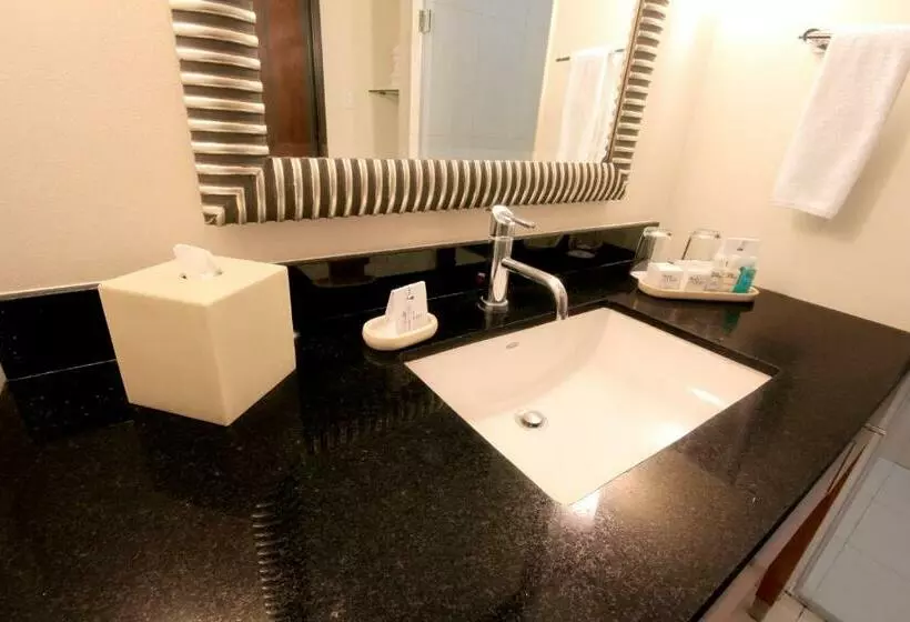 スタンダードルーム, Crowne Plaza Monterrey Aeropuerto, An Ihg