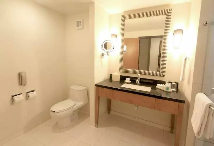 ２ダブルベッドのスタンダードルーム, Crowne Plaza Monterrey Aeropuerto, An Ihg