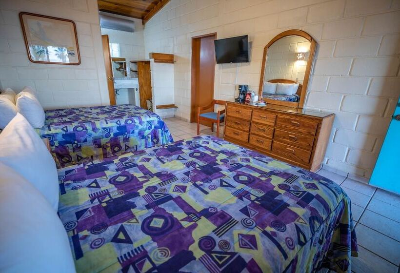 غرفة قياسية مطلّة علي البحر, Oasis