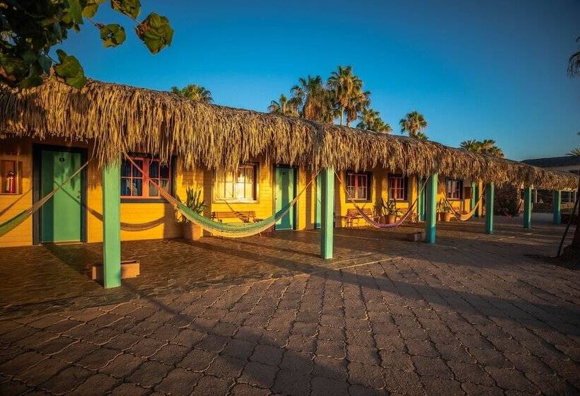 غرفة قياسية مطلّة علي البحر, Oasis