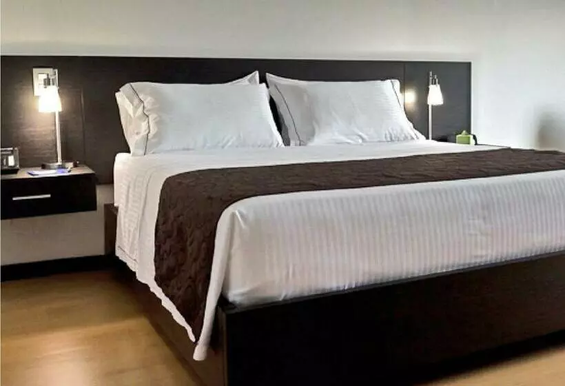 プレミアムルーム, Tequendama Hotel Medellín   Estadio