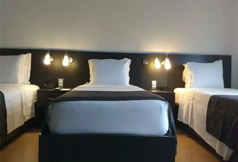 スタンダードトリプルルーム, Tequendama Hotel Medellín   Estadio