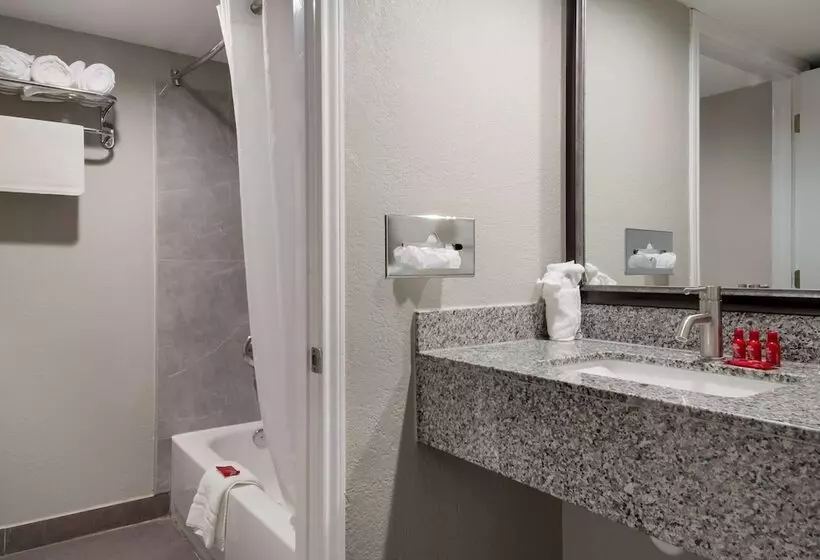 ２ダブルベッドのスタンダードルーム, Surestay Plus Hotel By Best Western San Antonio North
