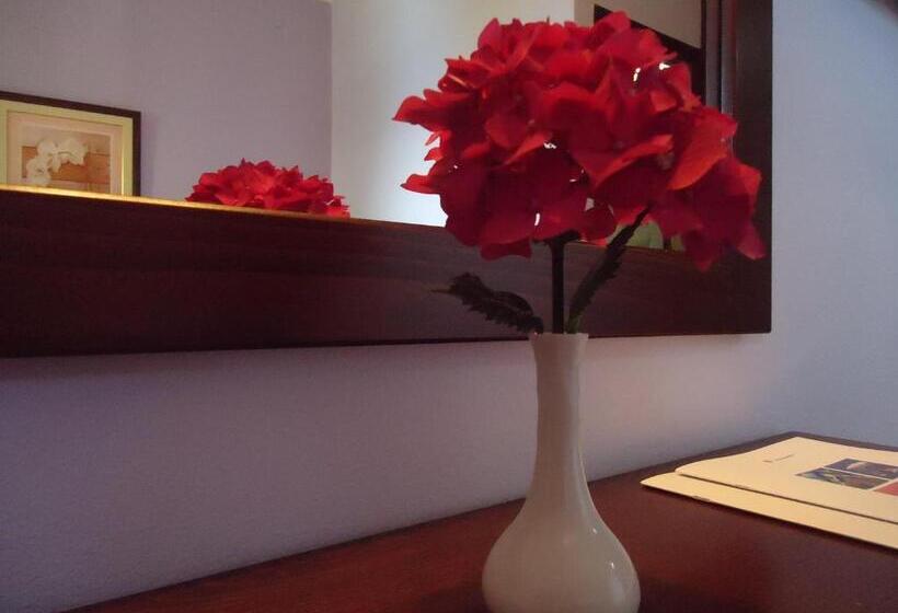 غرفة قياسية, Eden