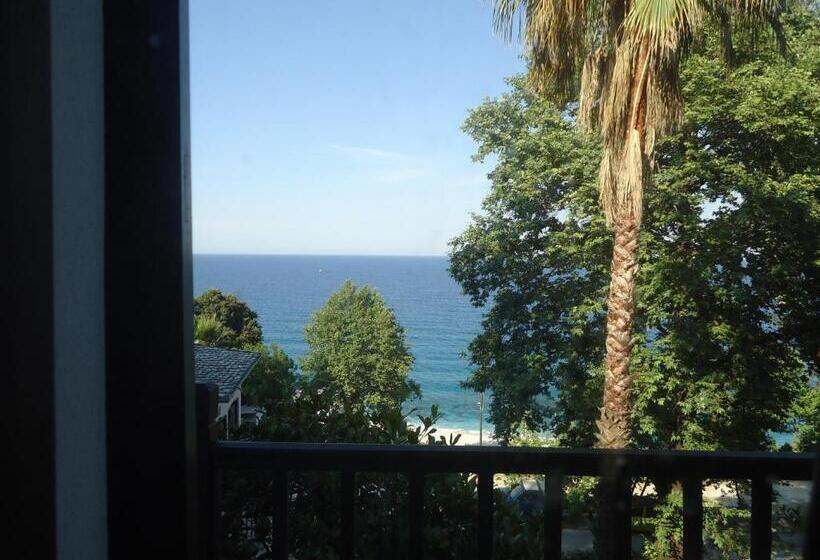 غرفة ديلوكس ثلاثية, Eden