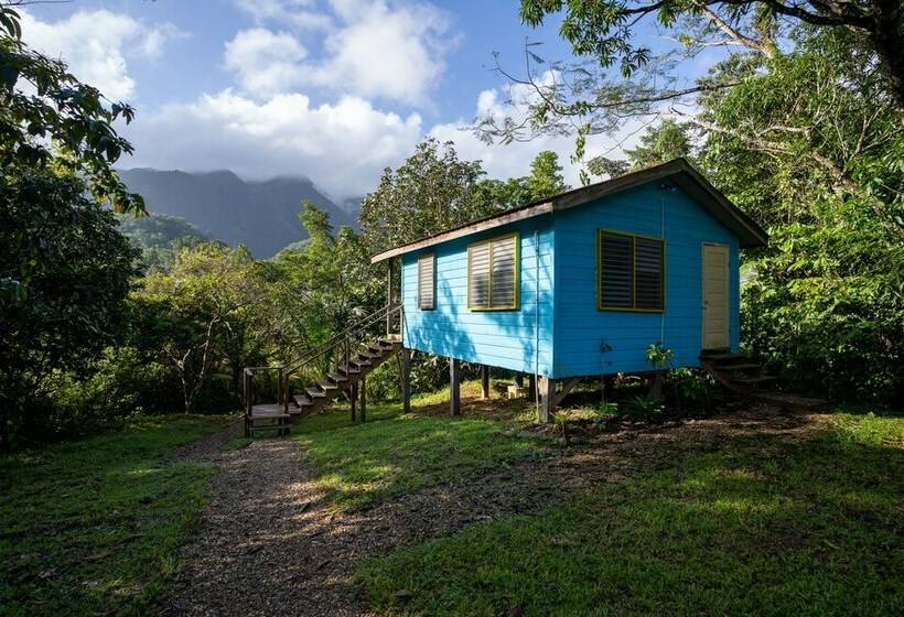 ビラホテル1ベッドルーム, T.r.e.e.s Research Center And Eco Lodge