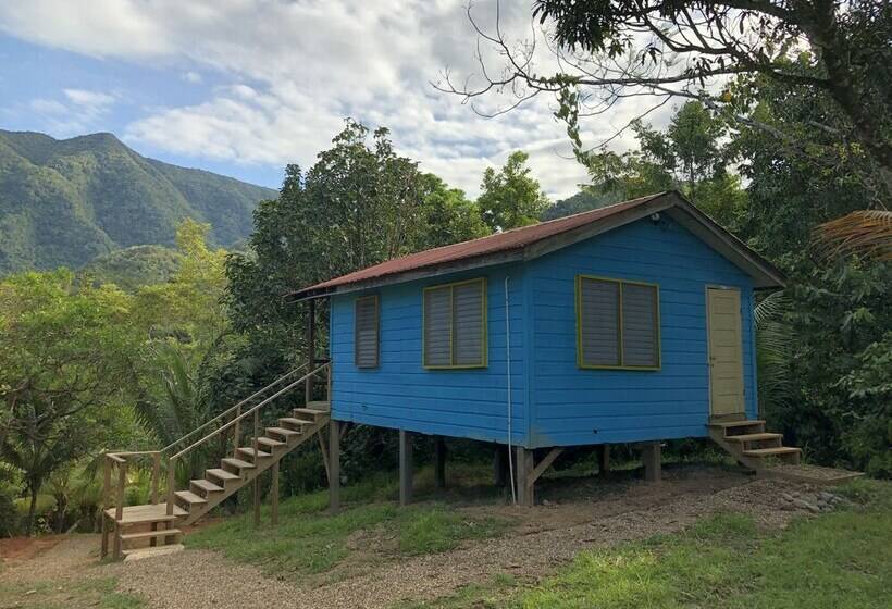 ビラホテル1ベッドルーム, T.r.e.e.s Research Center And Eco Lodge