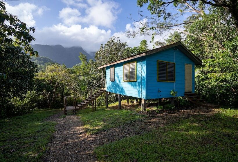 ビラホテル1ベッドルーム, T.r.e.e.s Research Center And Eco Lodge