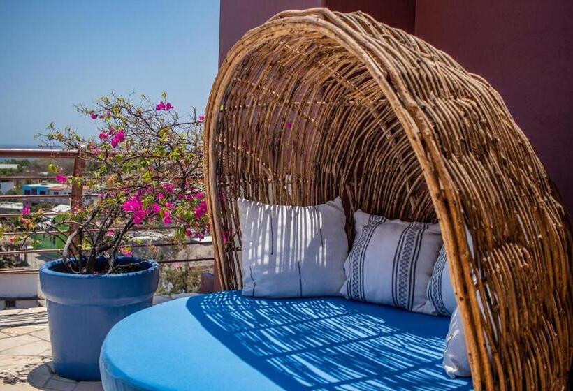 스탠다드 룸 킹사이즈 침대, El Mirador