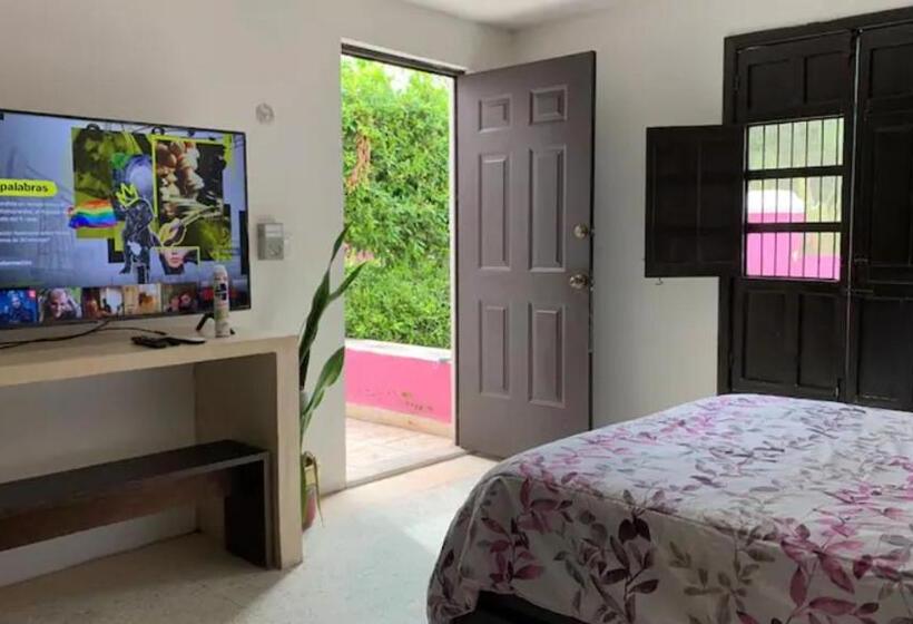 חדר סטנדרט, Hostal Rosa Mexicano   Hostel