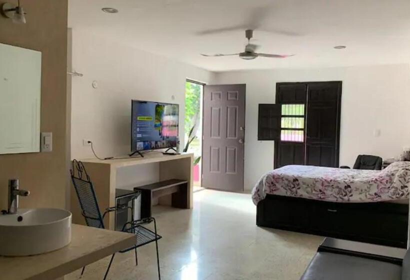 חדר סטנדרט, Hostal Rosa Mexicano   Hostel