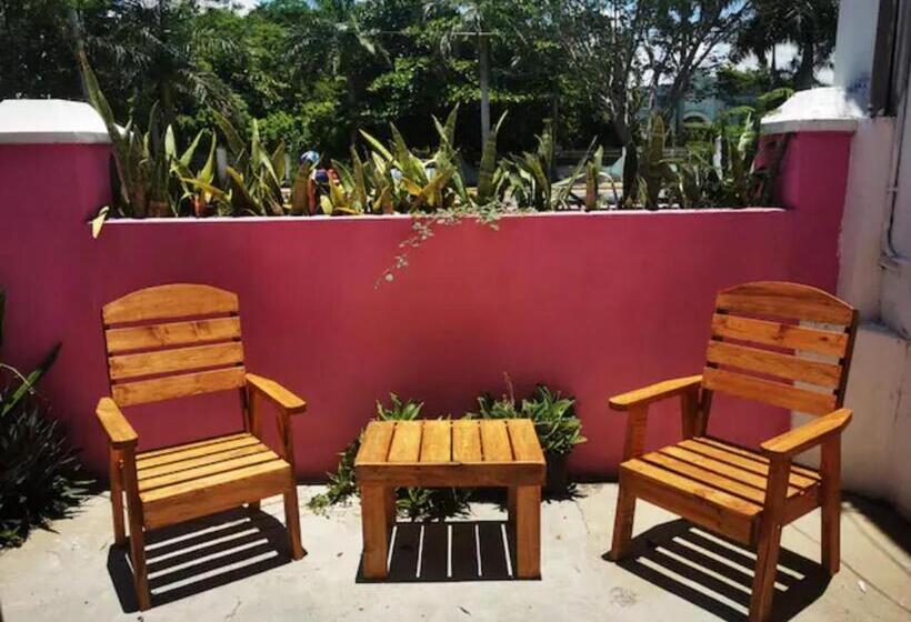 חדר סטנדרט, Hostal Rosa Mexicano   Hostel