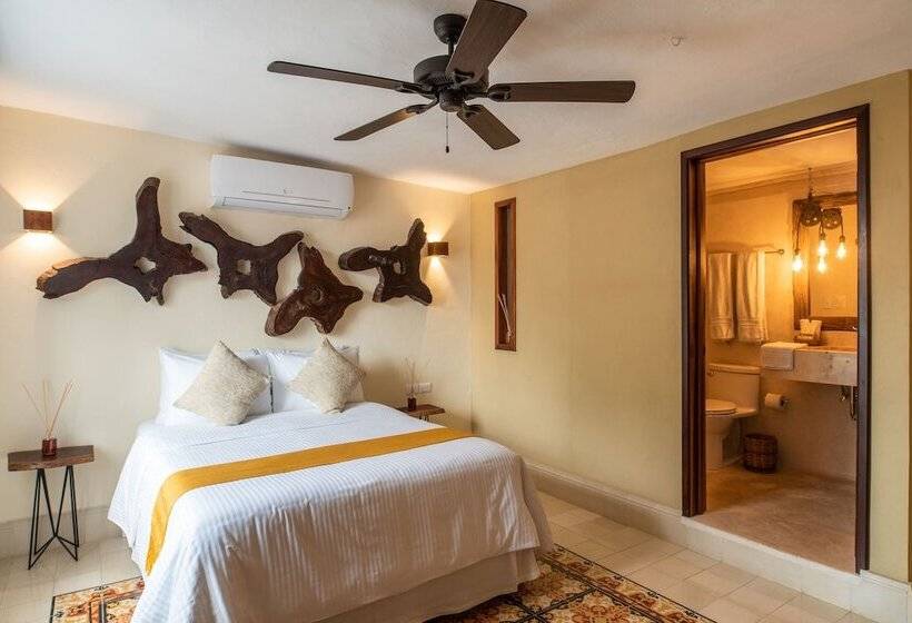 اتاق لوکس, Verde Morada