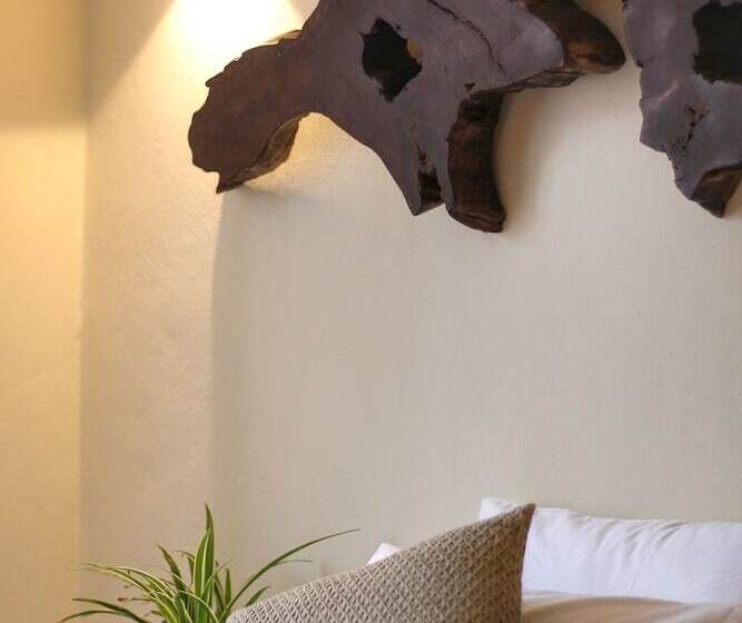 اتاق لوکس, Verde Morada