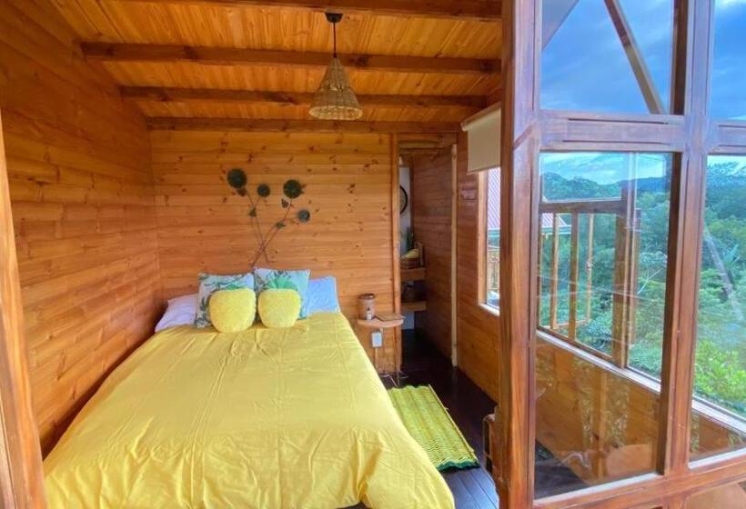 スタンダードルーム, Tropical House