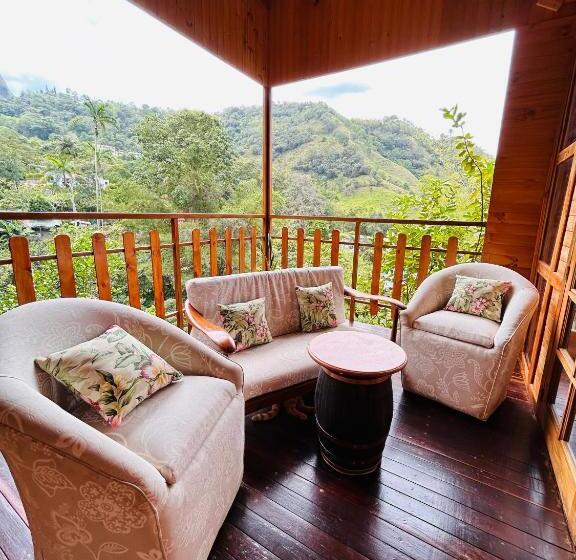 デラックスルーム, Tropical House