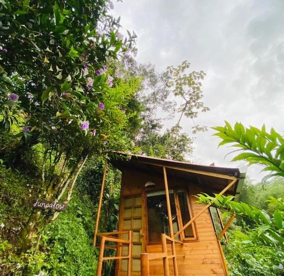 スタンダードルーム, Tropical House