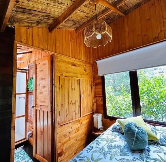 スタンダードルーム, Tropical House