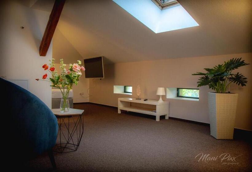 带共用浴室的标准房间, Villa Prestige