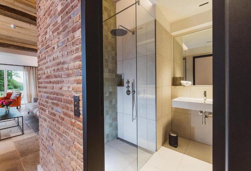 Апартаменты 1 Спальня с Террасой, Gut Damp Ferien Lofts