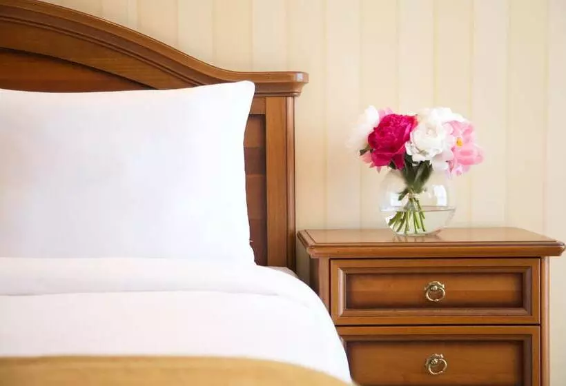 سوییت, City Park Hotel Sochi