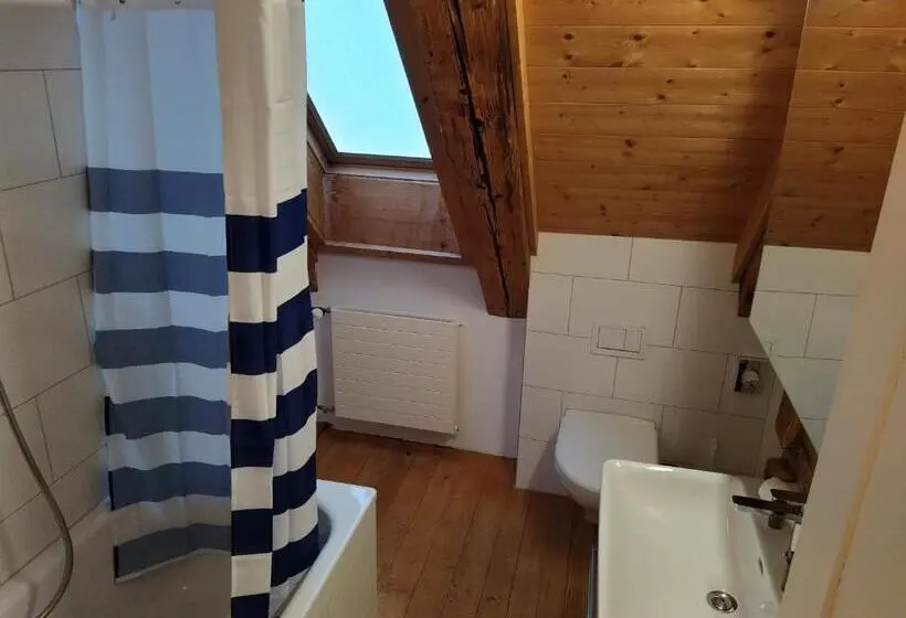 バルコニー付き１ベッドルームアパートメント, Gasthaus Meinradsberg