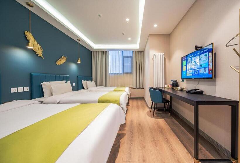 חדר סופריור לשלושה, Wutong Ins Designer