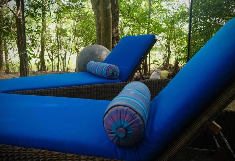 디럭스 스튜디오, Mind Body And Soul