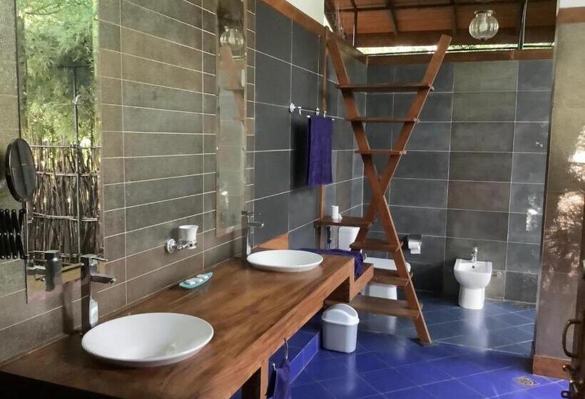 디럭스 스튜디오, Mind Body And Soul