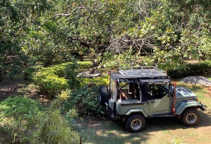 스탠다드 내측 룸, Mind Body And Soul