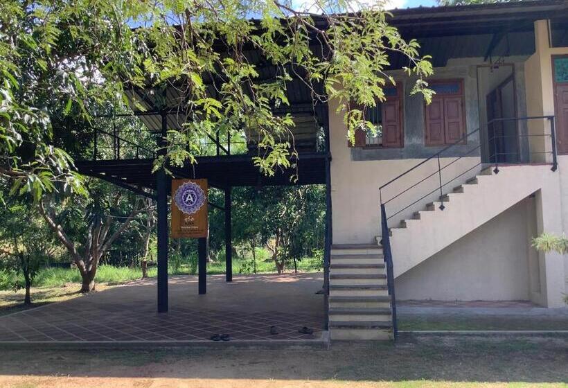 스탠다드 내측 룸, Mind Body And Soul