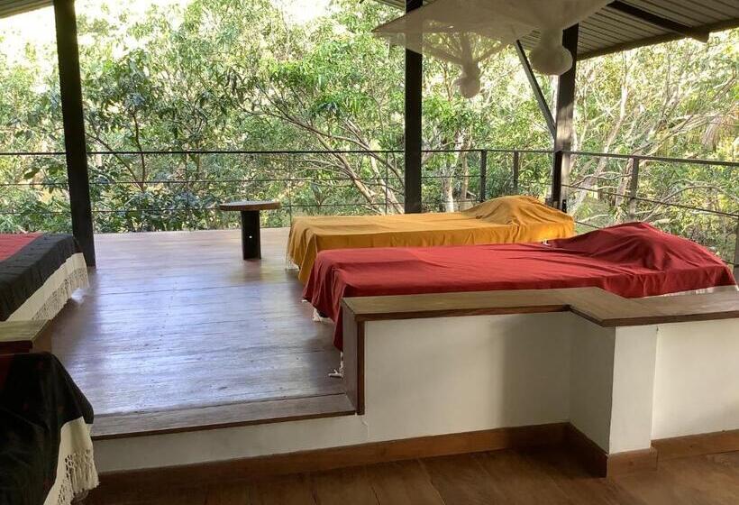 발코니 디럭스 룸, Mind Body And Soul